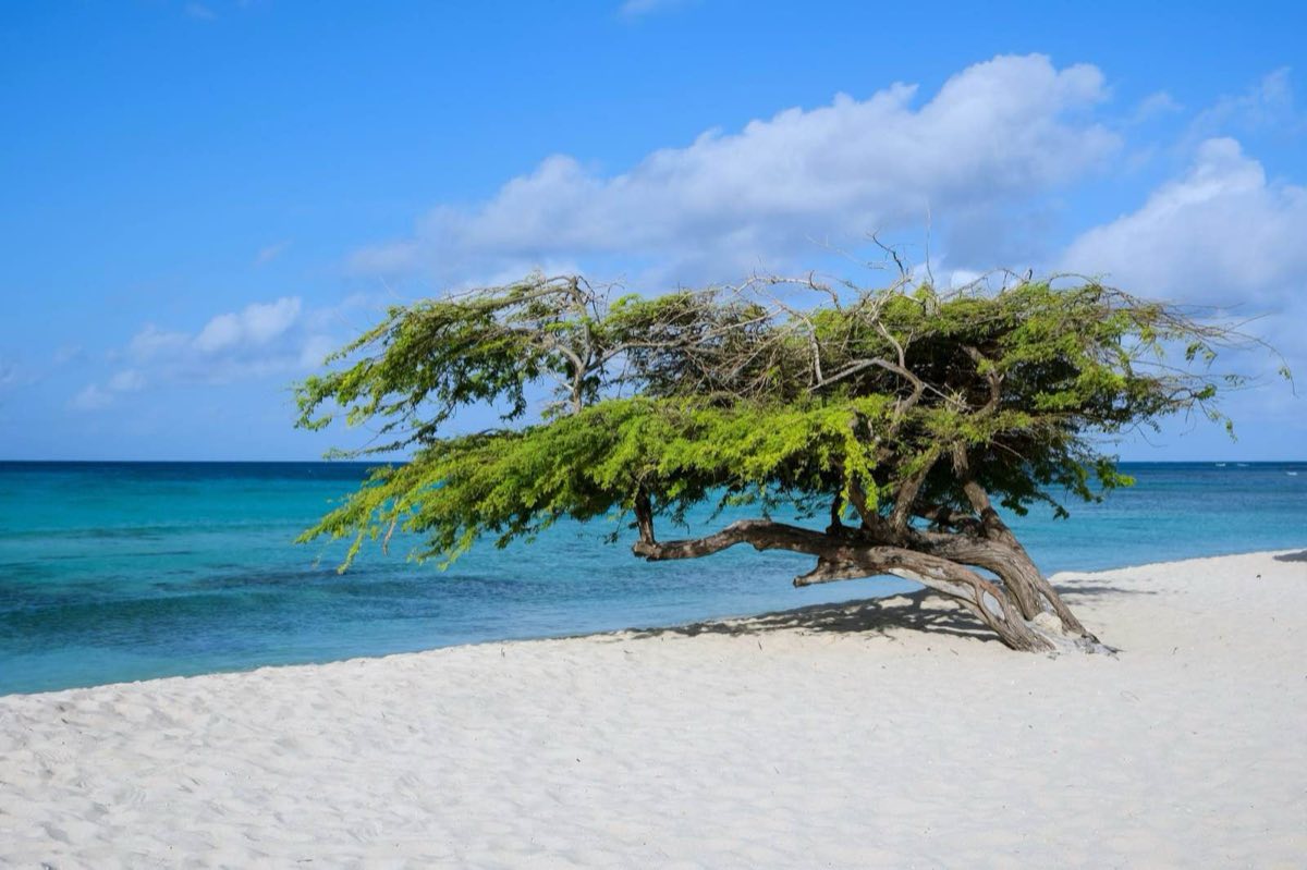 Aruba