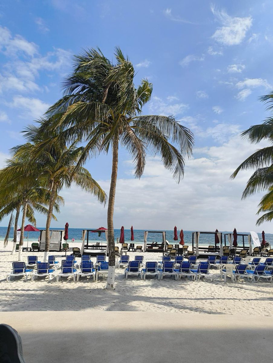 Palmeras en Playa Langosta