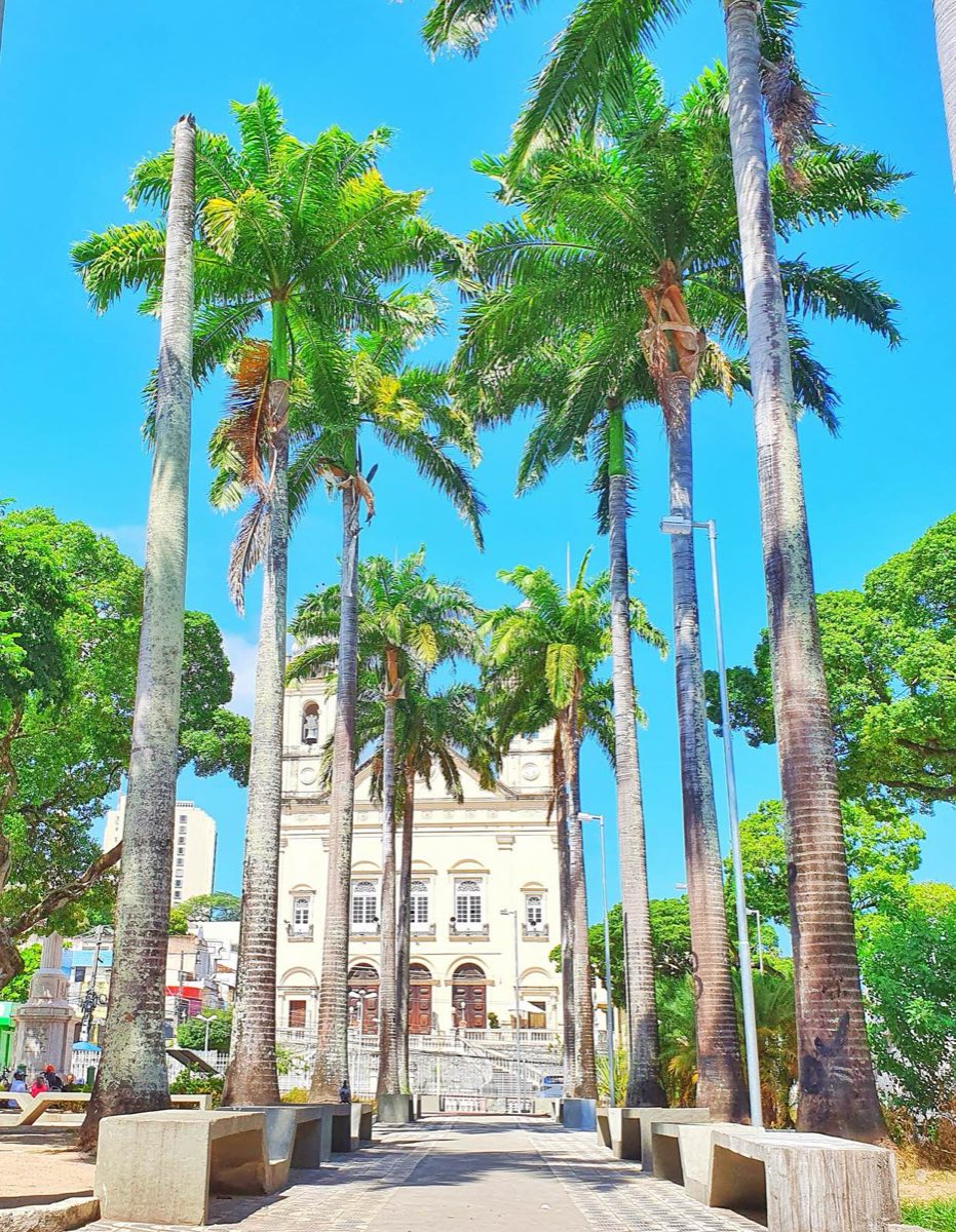 La Catedral entre palmeras