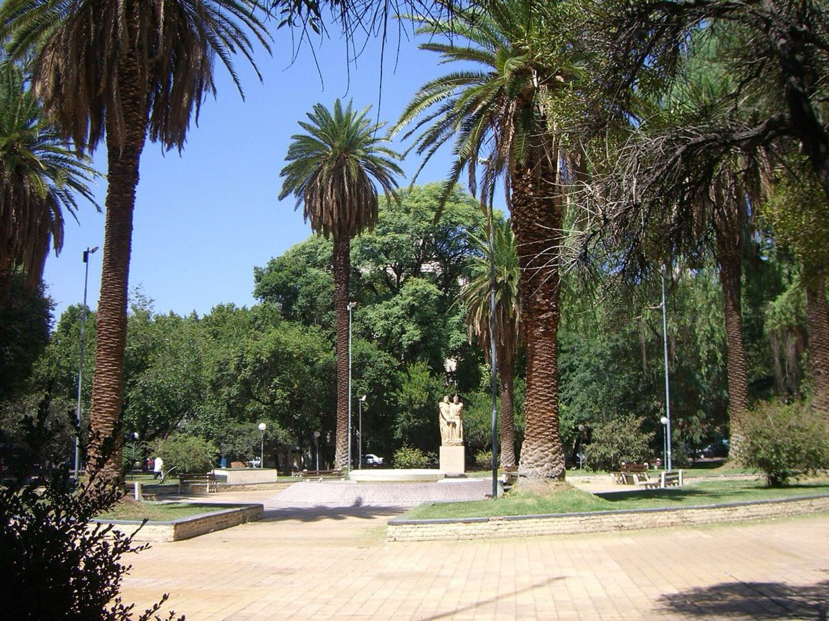Palmeras en la Plaza Chile