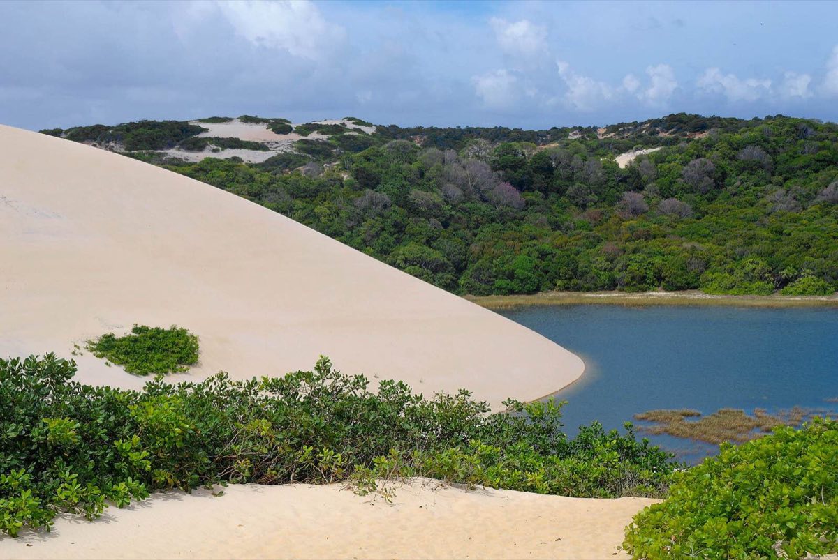 Las dunas y la laguna de Genipabu