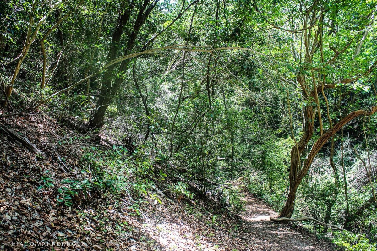 Un sendero del Parque das Dunas