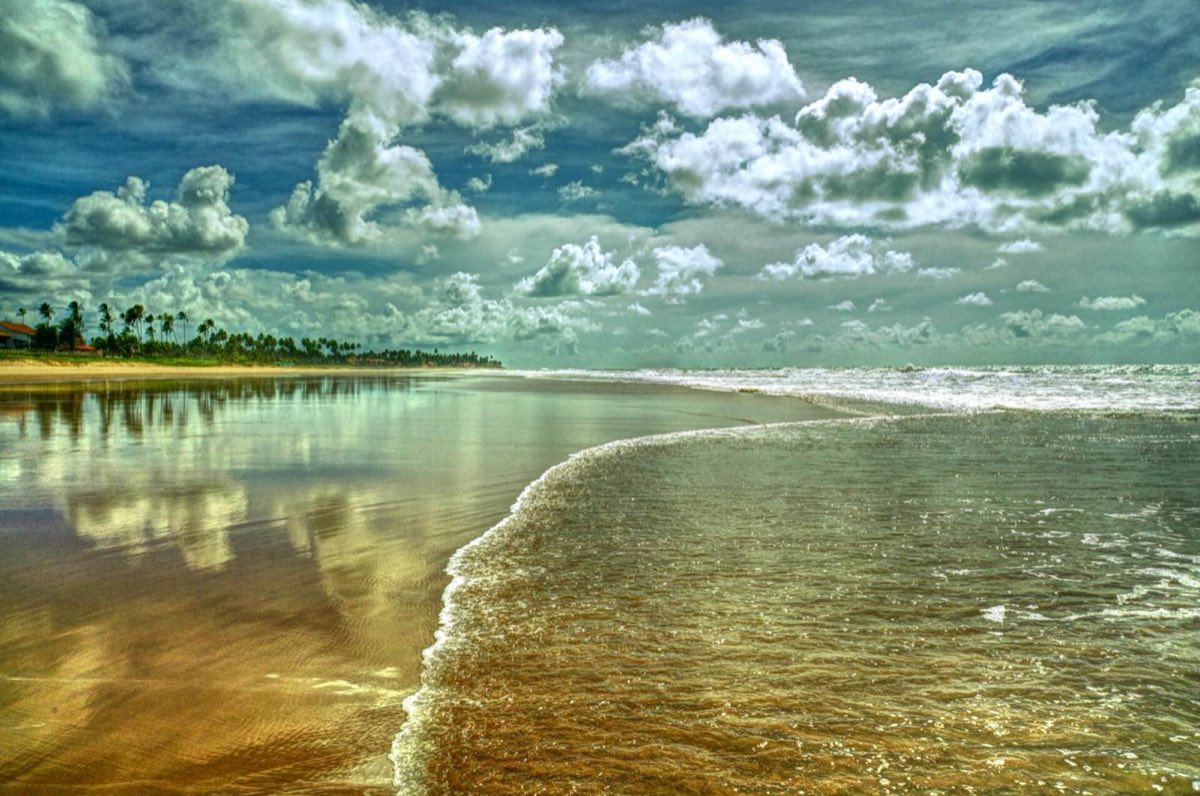 La praia do Cupe, con cocoteros