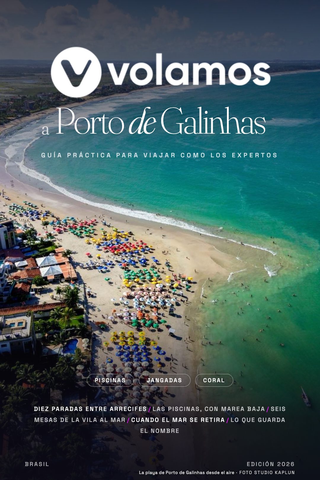 Tapa de la guía de Porto de Galinhas