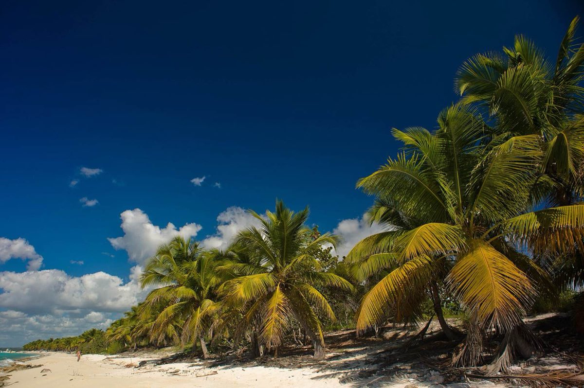 La costa de Isla Catalina